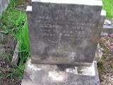image of grave number 678067